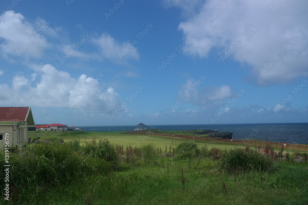 Obraz premium SAMSUNG CSC