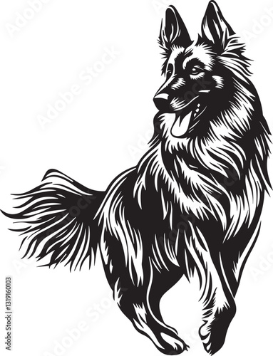 jumping belgian tervuren dog