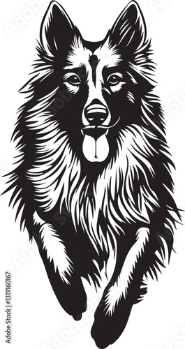 belgian tervuren dog