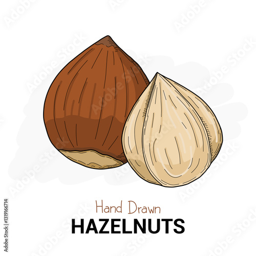Hand drawn colorful Hazelnut isolated on background