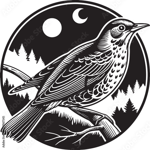 common nightingale bird silhouette printable design
