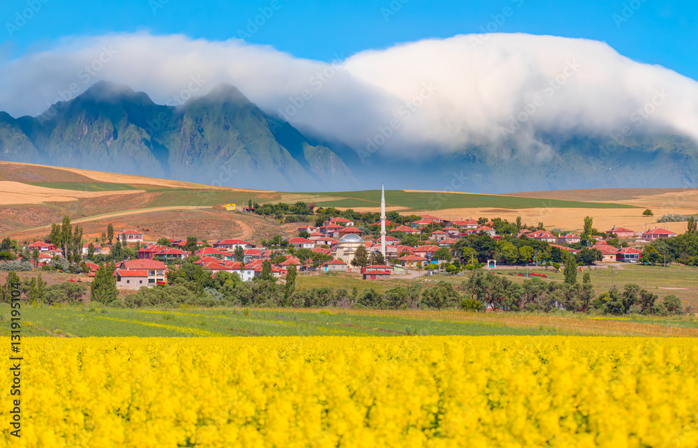 Φωτογραφία Yellow mustard field landscape industry of agriculture - A village in Anatolia i