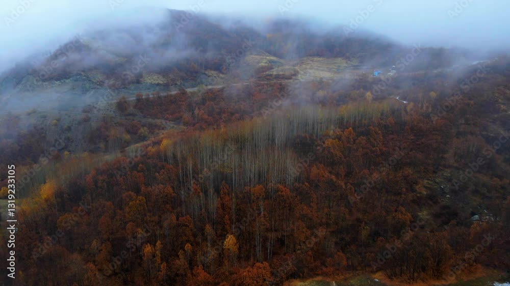 Aerial view Misty Autumn Landscape with Golden Trees and Valleys Aerial view Misty Autumn Landscape with Golden Trees and Valleys