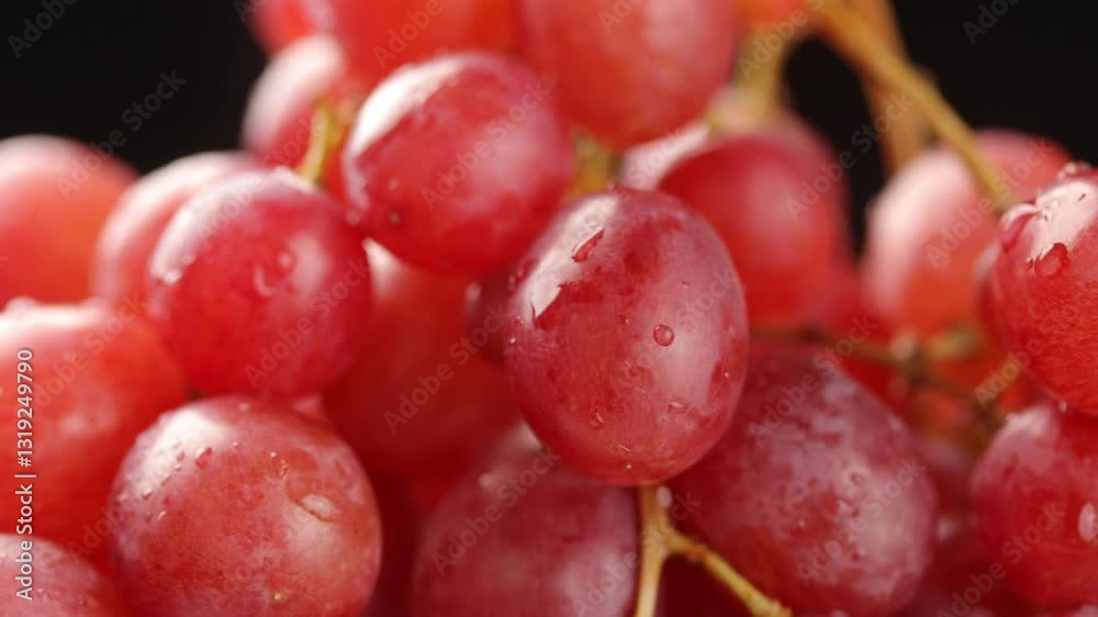 Red seedless grapes with water drop rotating. Close-up Red seedless grapes with water drop rotating. Close-up