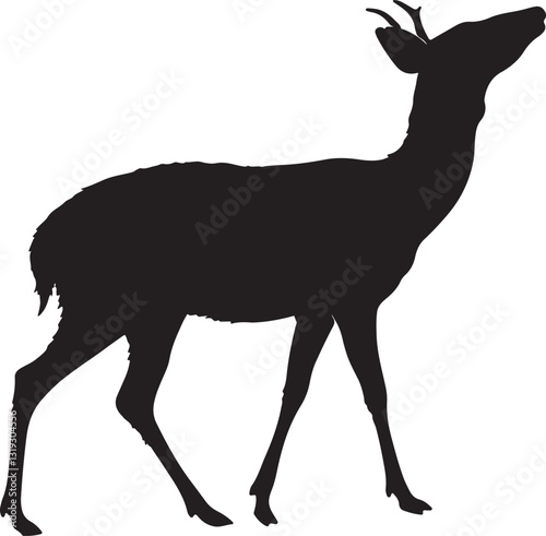 Graceful Silhouette of a Walking Deer in Side Profile