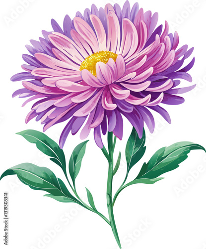 pink dahlia flower