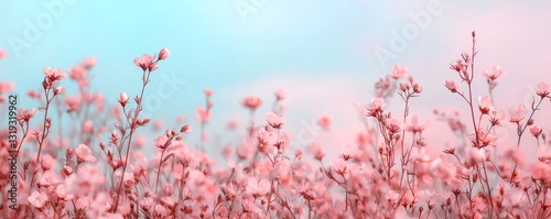 A serene field of delicate pink flowers against a soft blue background, creating a calming and picturesque scene.