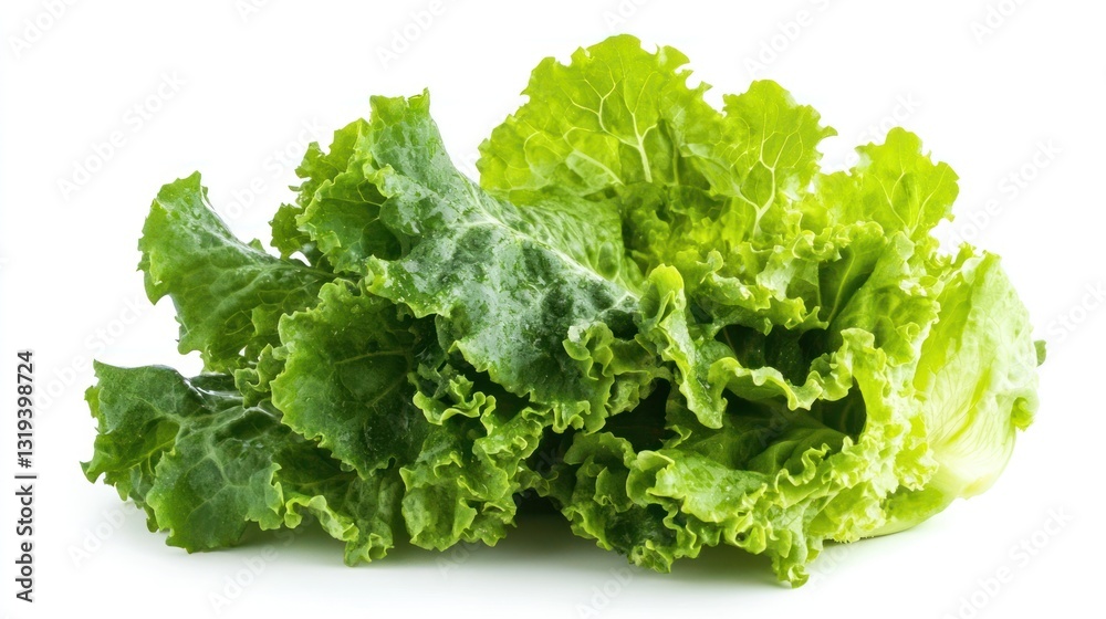 Fresh crisp lettuce head isolated on white background for food photography Fresh crisp lettuce head isolated on white background for food photography
