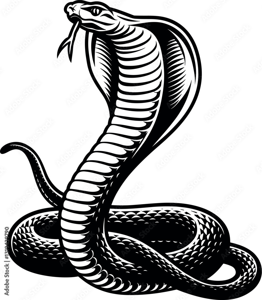 Fototapeta premium Snake Forked Tongue vector black silhouette cricut design for T-Shirt