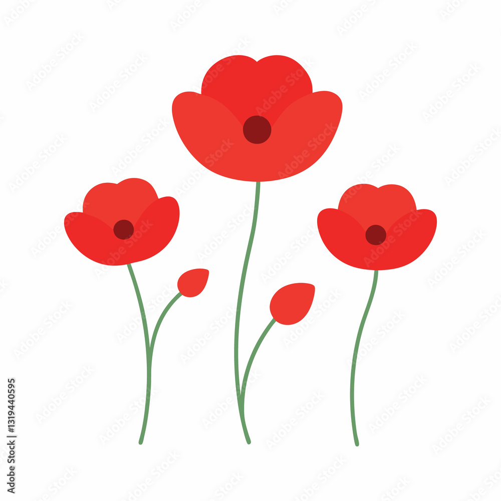 Naklejka premium Red poppies isolated on white background