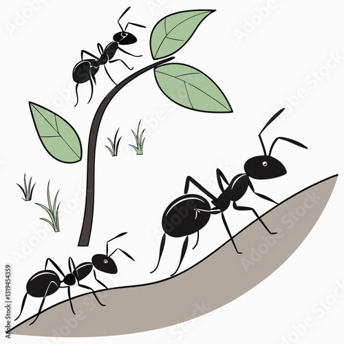 black-ants-silhouettes--isolated-ant-working-walki (1).eps