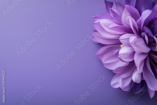 Clean purple background --ar 3:2 --profile ooj6fpf --v 6.1 Job ID: f850e1f4-d514-41d6-a6b8-78af1d7e59ac