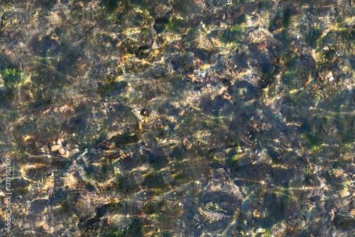 Papier peint Top-down view of a shallow stream bed where sunlight dances on the water's surfa