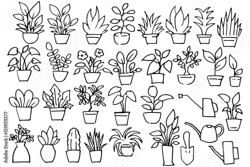 手描きの観葉植物イラストセットの線画　ベクター