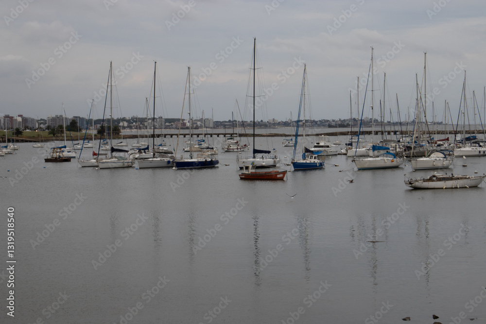 Fototapeta premium Montevideo, Uruguay