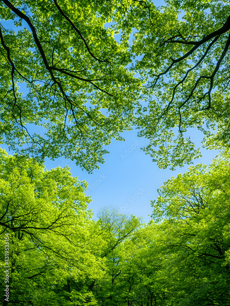 Fototapeta premium Lush green foliage canopy, bright blue sky