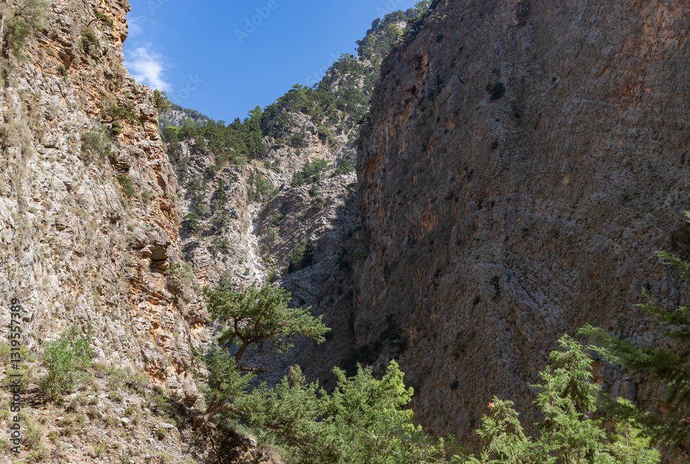 Fototapeta premium Samaria Gorge Landscape