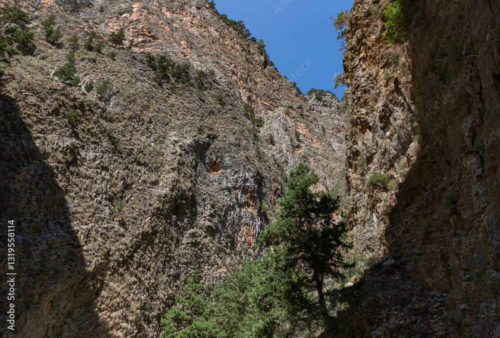 Samaria Gorge Landscape