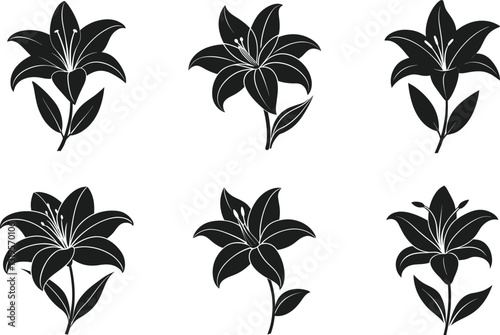 Set of Elegant Lily Flower Silhouettes - Spring Floral Vector Collection