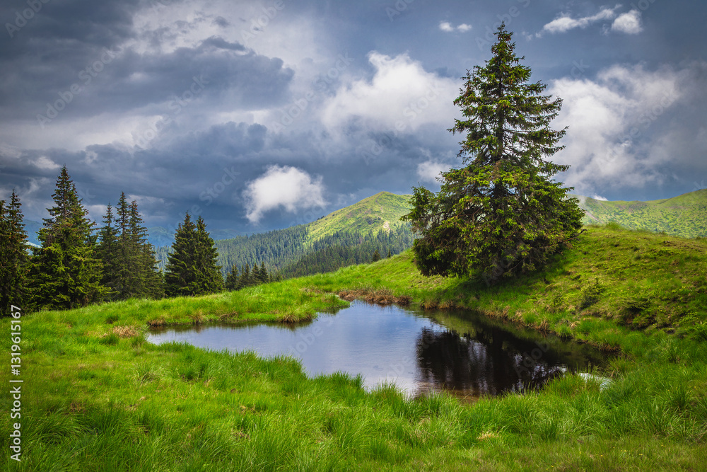 Small lake on the green field at rainy day