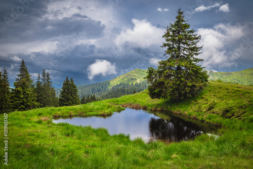 Small lake on the green field at rainy day