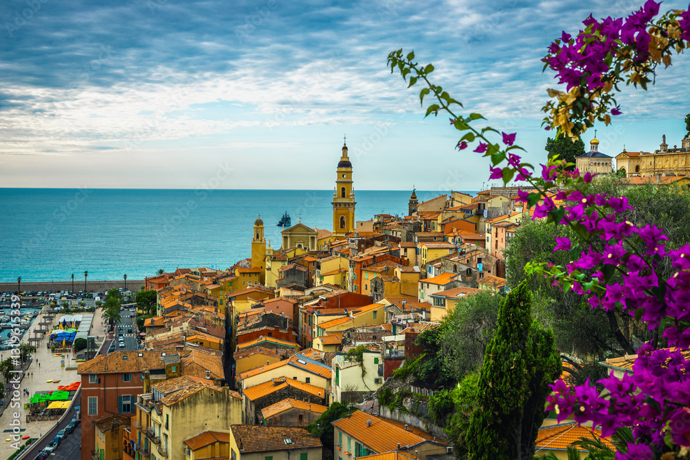 Fantastic cityscape with blooming bougainvillea flower in Menton, France
