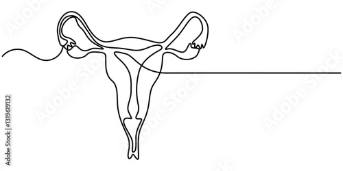 Continuous line drawing of women's Uterus and Ovary. One line Female reproductive system uterus vector illustration isolated on white background, One continuous line drawing of woman uterus. 