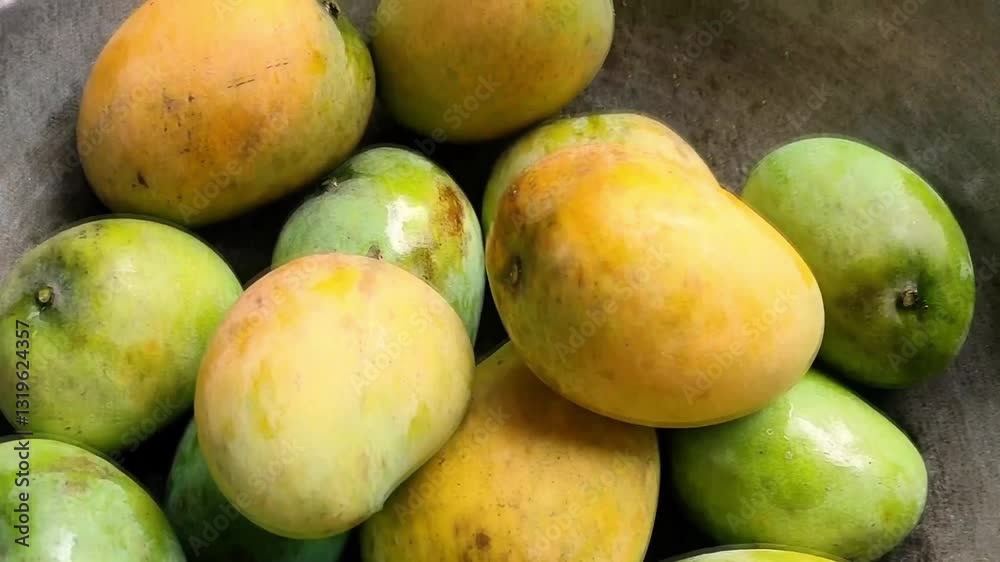 MANGOES, a close-up of fruits, seems so healthy, on the display. Heap of fresh ripe yellow mangoes at the market for sale. MANGOES, a close-up of fruits, seems so healthy, on the display. Heap of fresh ripe yellow mangoes at the market for sale.