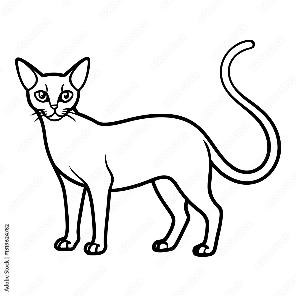 Fototapeta black and white cat