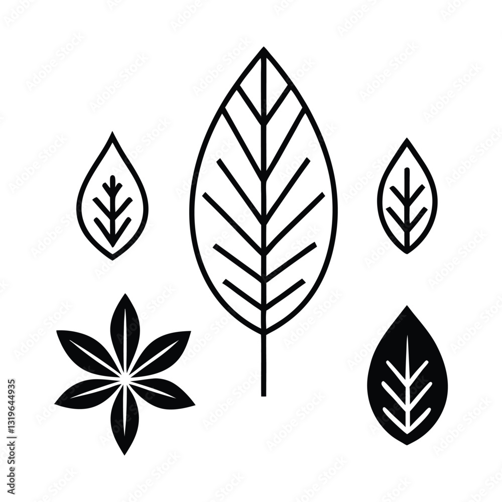 Fototapeta premium Leaf vector set illustration with natural decorative elements