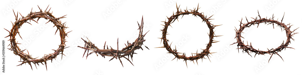 Fototapeta premium Set of a crown of thorns isolated on transparent background