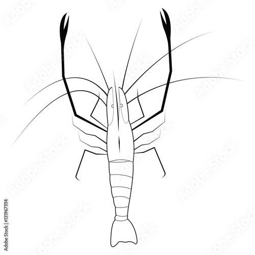 Shrimp silhouette, Prawn cut-out vector icon, logo black and white