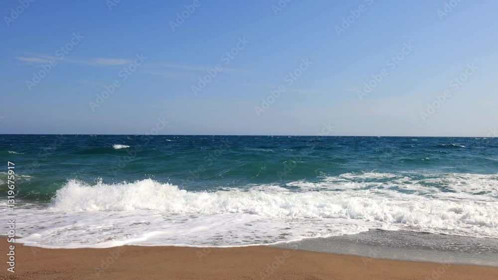 Sky Blue Dark Green Video-centric Place Video Background Sky Blue Dark Green Video-centric Place Video Background