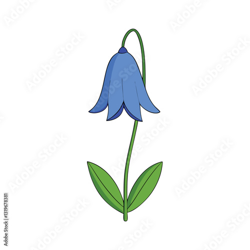 bluebel lflower on a white background.