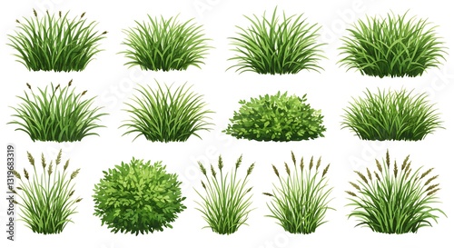 Set of top view of watercolor grass bushes isolated on white background.

