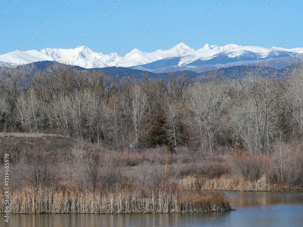 Swamp and Rocky Mountains in early spring, Colorado Swamp and Rocky Mountains in early spring, Colorado