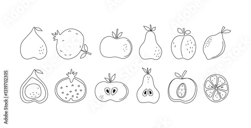 Set of slices and whole fruits. Line art icons. Simple abstract fruits with leaves. Vitamin natural vegetarian food, garden crop, harvest. Drawing, sketch, isolated white background.