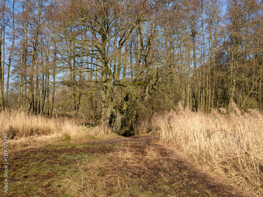 Nationaal Park Drentsche Aa, Tynaarlo, Drenthe province, The Netherlands Nationaal Park Drentsche Aa, Tynaarlo, Drenthe province, The Netherlands