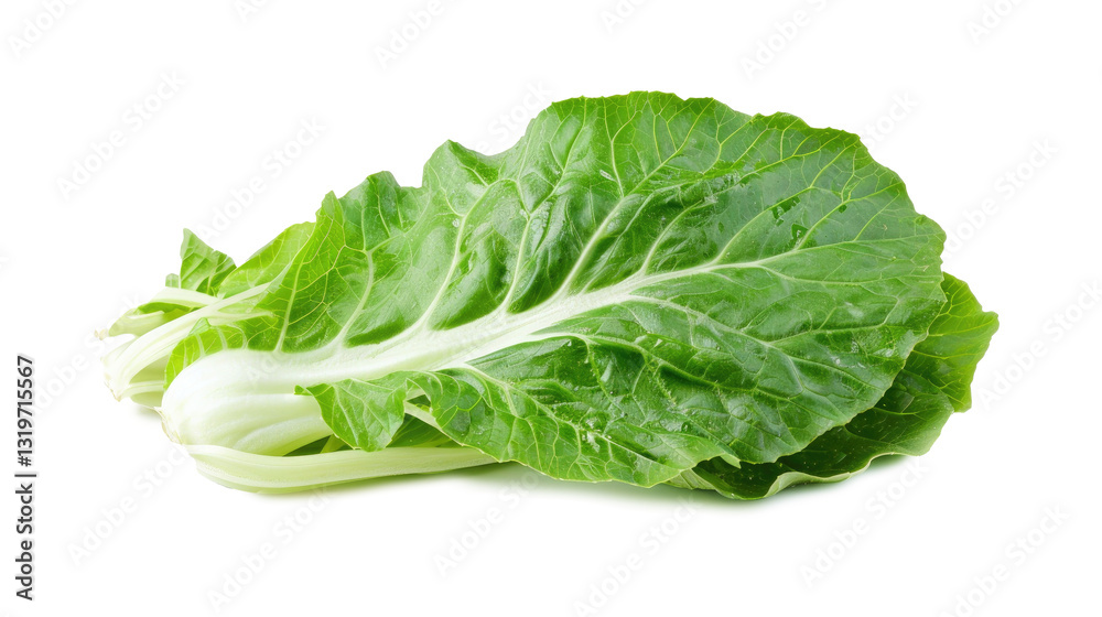 Lettuce leaves isolated on transparent background Lettuce leaves isolated on transparent background