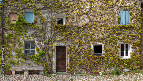 Fotografi Casa con edra rampicante