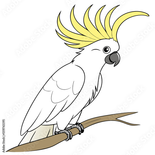 Vibrant Cockatoo Vector Art for Wildlife Enthusiasts