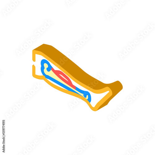 hairline fracture isometric icon vector illustration