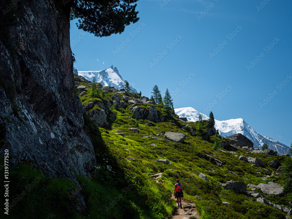 Naklejka premium Randonneuse sur sentier de randonnée des alpes