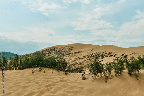 Sarykum dune, the largest sand dune in Europe.. A desert scene with a large mound of sand. The sand is dry and the sun is shining brightly
