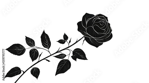 Fototapeta Naklejka Na Ścianę i Meble -  Elegant black rose clipart digital art floral design minimalist art concept