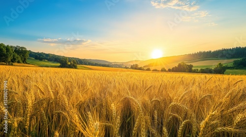 a serene landscape featuring a vast golden wheat field under a clear blue sky, with rolling hills in the background and a warm, glowing sunset on the horizon