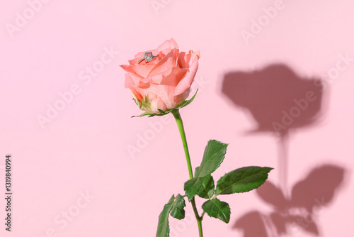 Fototapeta Naklejka Na Ścianę i Meble -  Beautiful rose with stylish ring on pink background