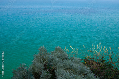 Vibrant Mediterranean plants cling to the rugged rocks, contrasting with the deep blue Adriatic Sea.
