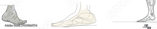 A seamless line drawing of a bare foot, capturing the elegance of a female leg in a simple linear style. This concept focuses on wellness, healthy massage, and the care of soft skin. The illustration