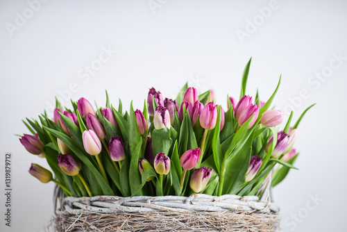 Beautiful bouquet of purple and pink tulips in a rustic wicker basket against a white background  
